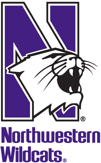 Northwestern Wildcats 1981-Pres Alternate Logo t shirts DIY iron ons v2